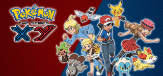 xy_banner